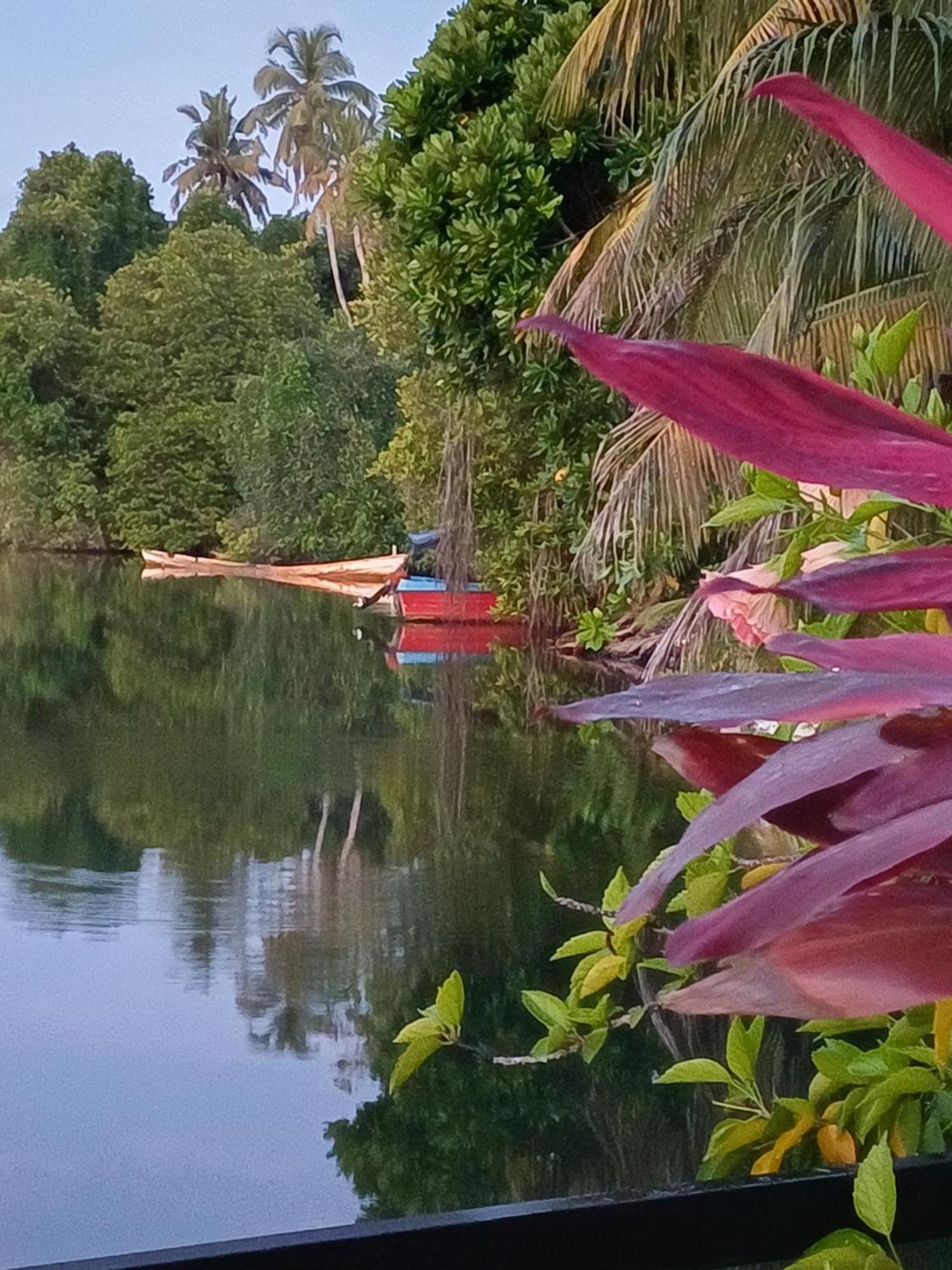 Villa River View Aluthgama Bagian luar foto